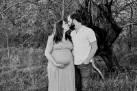 Liz Maternity Session 013