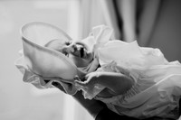 Amelia newborn images 157