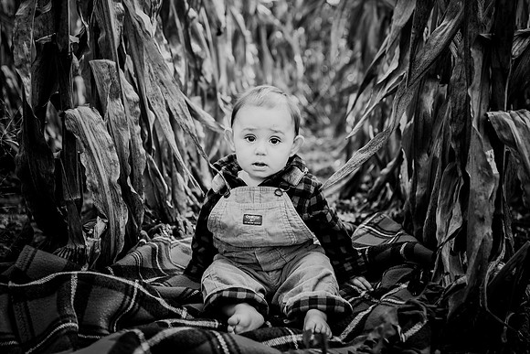 hudson [8 months] 005