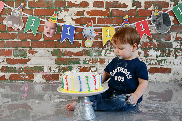 Logan 1st Birthday 245