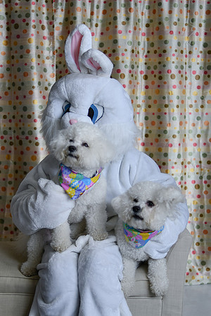 Easter Bunny Photos 023