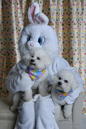 Easter Bunny Photos 025