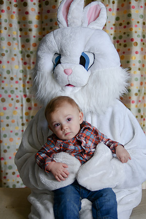Easter Bunny Photos 125
