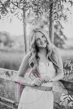 Marin Senior Peek 05