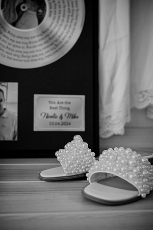 Wedding of Mike & Nicolle 012