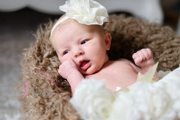 Amelia [newborn] images 073