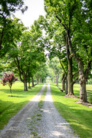 Carter & Marlah Wedding Photos [grounds] 017