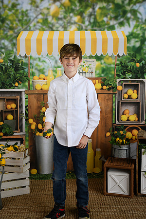Thiele Lemonade 11