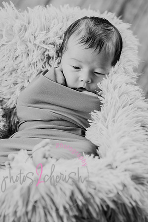 Anthony [newborn] 053