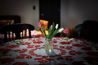 Rose [birthday party] 009