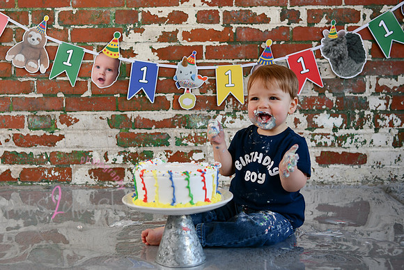 Logan 1st Birthday 230