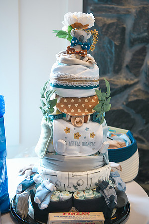 L Baby Shower 245