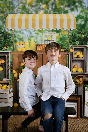 Thiele Lemonade 16