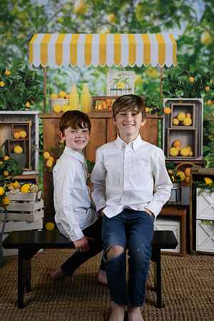 Thiele Lemonade 19