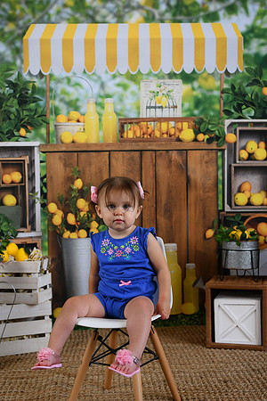 Holiday Lemonade 01
