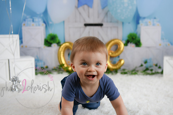 Coleson [proofs] 094