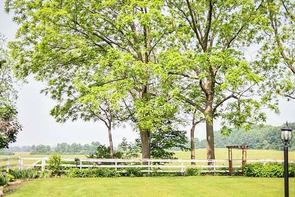 Carter & Marlah Wedding Photos [grounds] 029