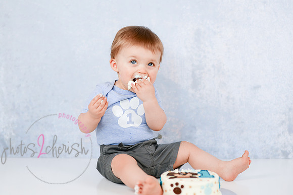 Coleson [proofs] 111
