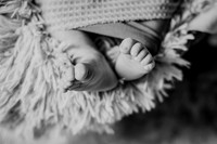 Amelia newborn images 032