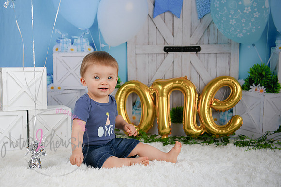 Coleson [proofs] 091