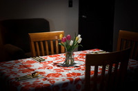 Rose [birthday party] 010