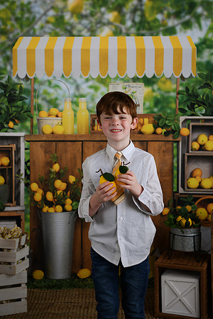 Thiele Lemonade 12
