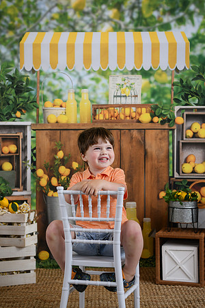 ALS [lemonade stand 6] 17