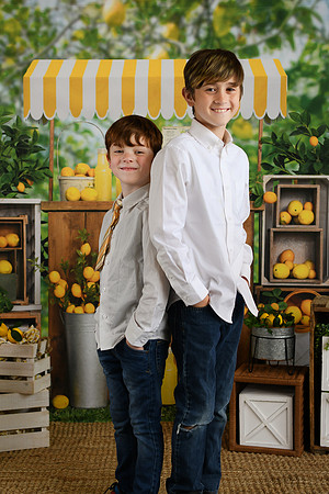Thiele Lemonade 05