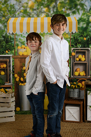 Thiele Lemonade 04