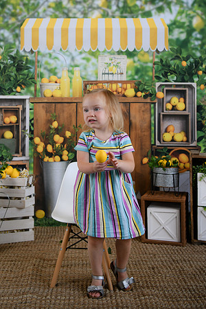 Holiday Lemonade 05