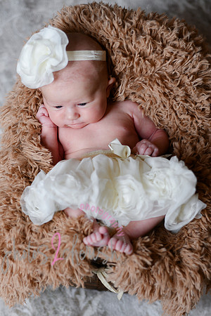 Amelia [newborn] images 046