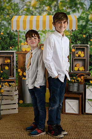 Thiele Lemonade 03