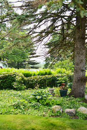 Carter & Marlah Wedding Photos [grounds] 005