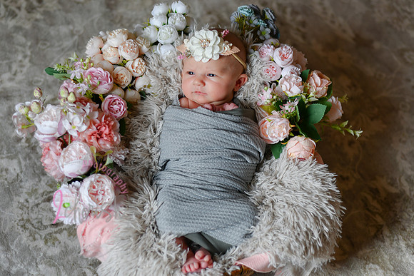 Amelia [newborn] images 018
