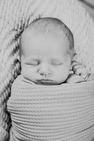Noah Newborn 178