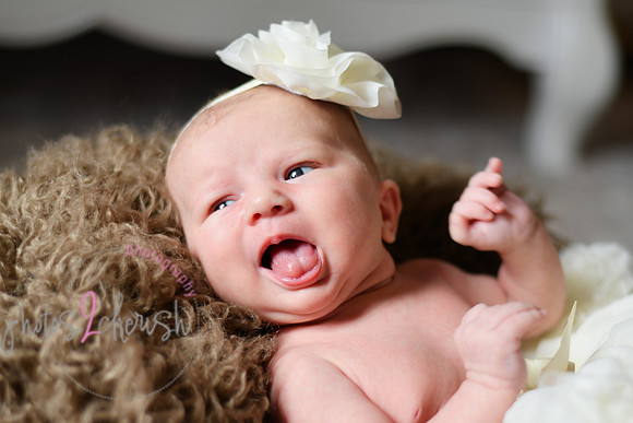 Amelia [newborn] images 074
