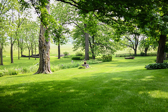Carter & Marlah Wedding Photos [grounds] 044