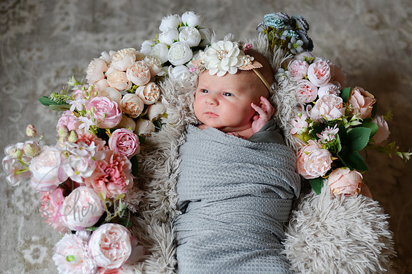 Amelia [newborn] images 037