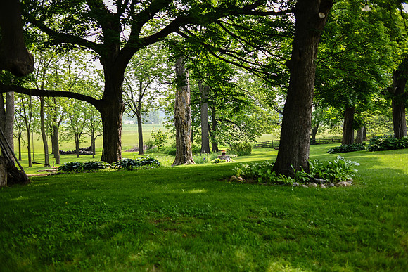 Carter & Marlah Wedding Photos [grounds] 047