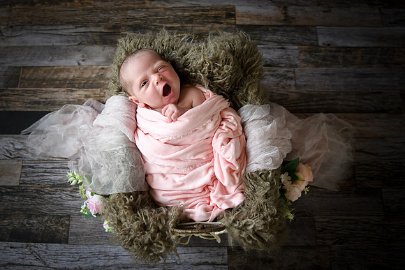 Jade [newborn] 003