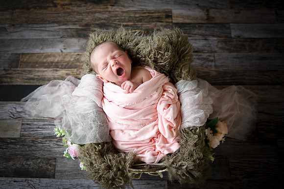 Jade [newborn] 004