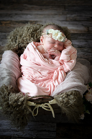 Jade [newborn] 033
