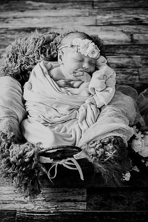 Jade [newborn] 034
