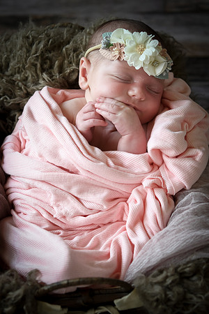 Jade [newborn] 036