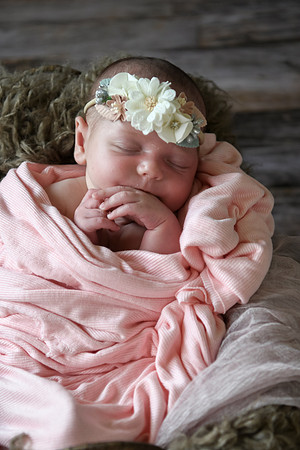 Jade [newborn] 037