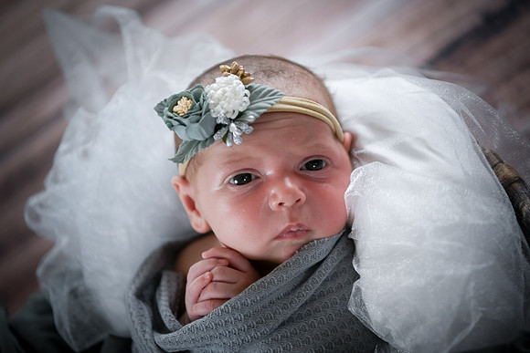Jade [newborn] 091