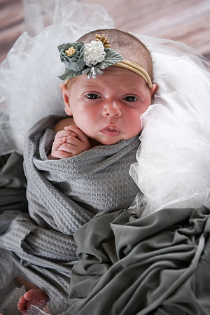 Jade [newborn] 099