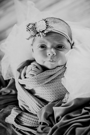 Jade [newborn] 102