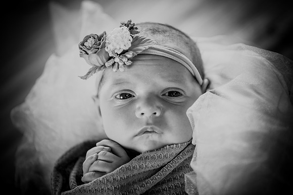 Jade [newborn] 112