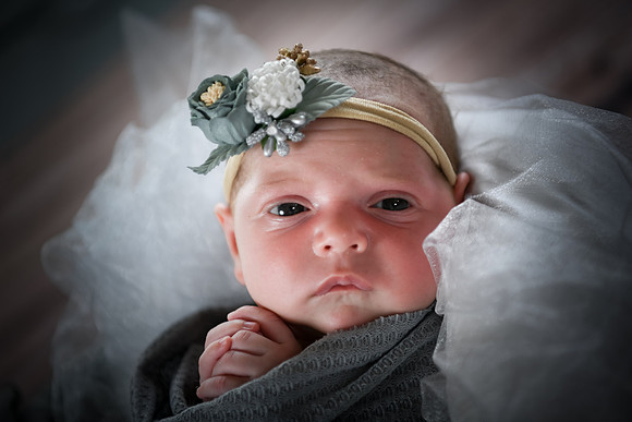 Jade [newborn] 113